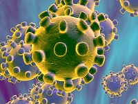 coronavirus